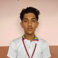 School-Parliament