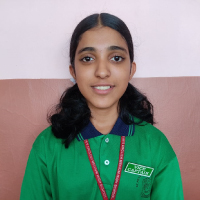 School-Parliament